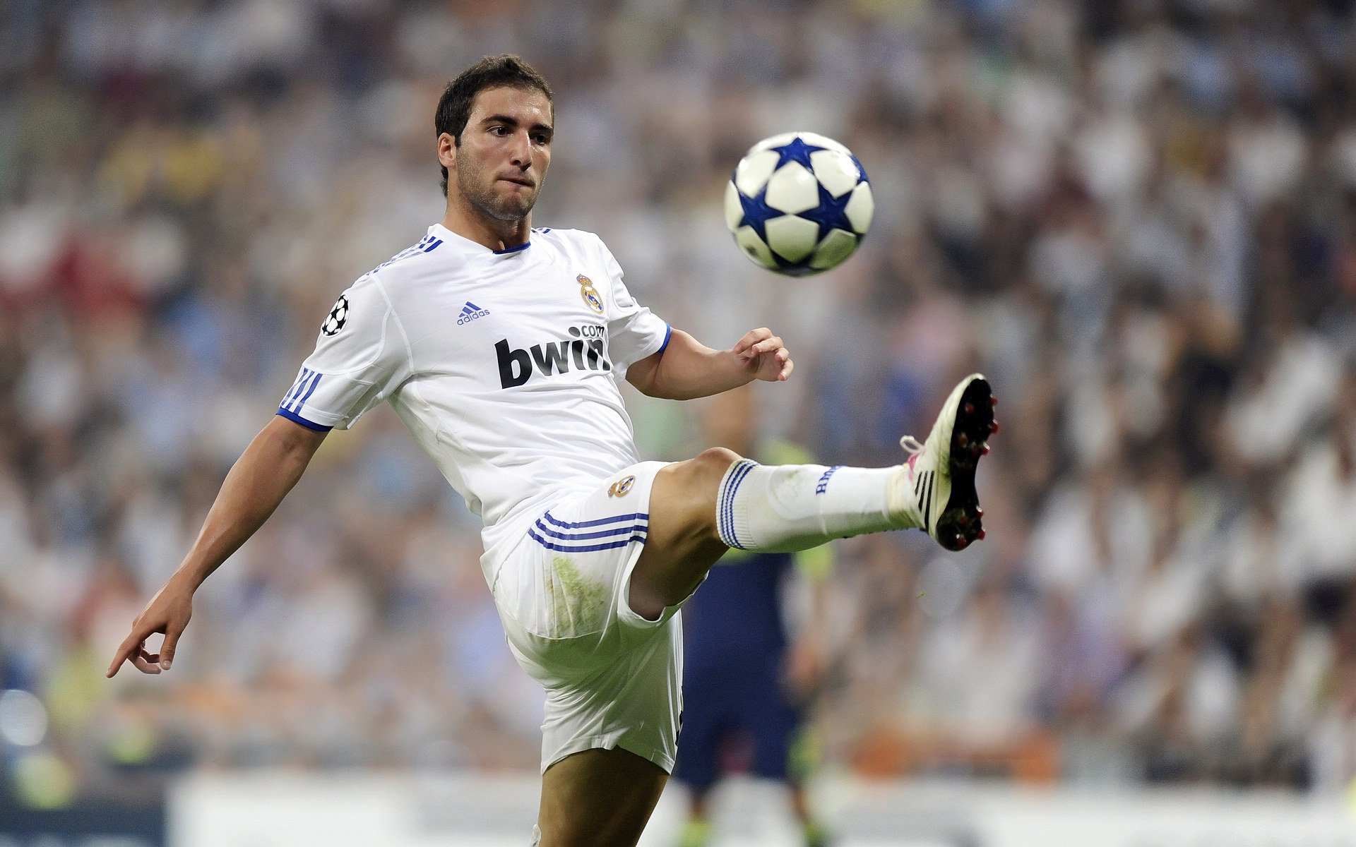 范弗利特生死战完美指挥，骑士力克步行者续写征程